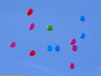 Samedi 8 juillet 2017 : fête du GUC-Vacances sur le campus