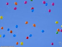 Samedi 8 juillet 2017 : fête du GUC-Vacances sur le campus