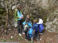 Un (grand) "Lion" égaré prend conseil auprès des Léopards.