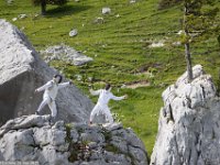 C1-randescrime-0738 1 1